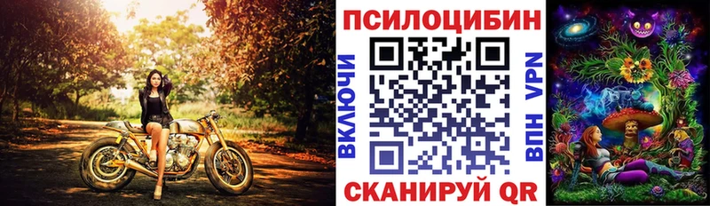 Галлюциногенные грибы Psilocybine cubensis  Урюпинск 